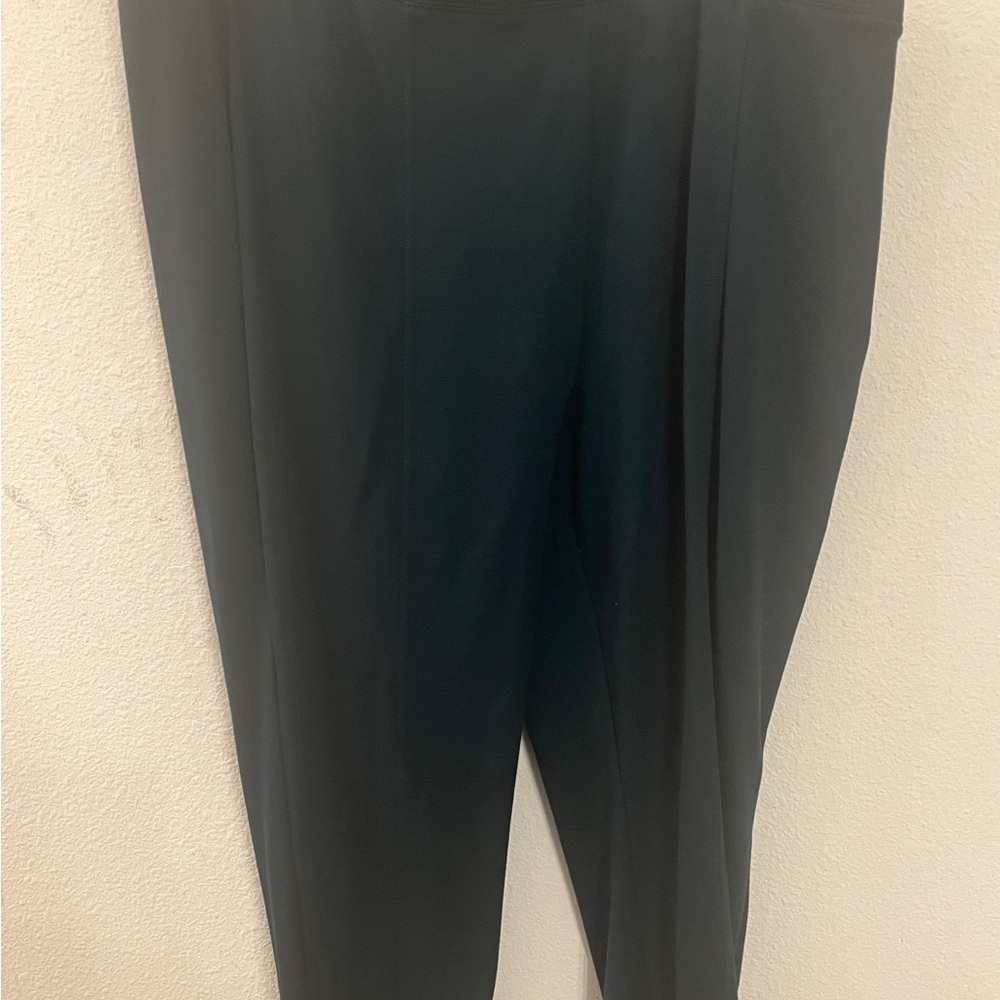 Talbots Women’s 3X Dark Green Skinny Ankle Pants | Plus Size Dress Pants | Pull
